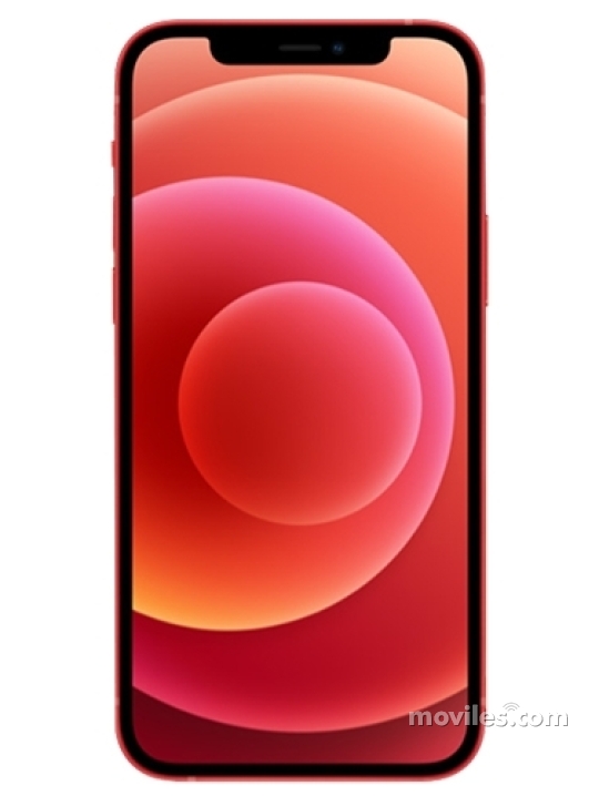 Apple iPhone 12 mini (A2403, A2172, A2402, A2404) - Celulares.com