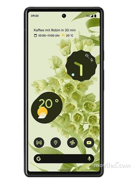 Google Pixel 6 - Celulares.com Brasil