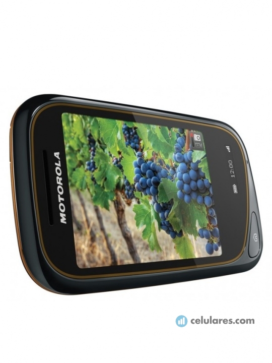 Imagem 3 Motorola Wilder