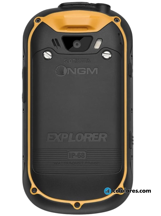 Imagem 6 NGM Explorer