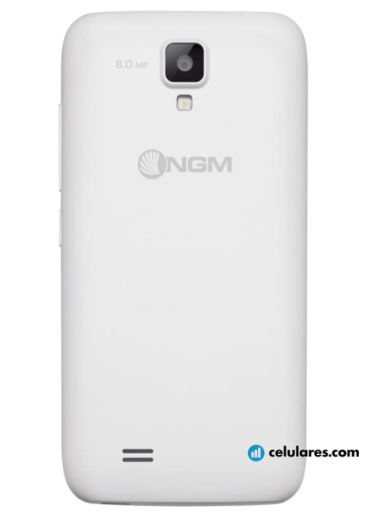 Imagem 4 NGM Forward Run