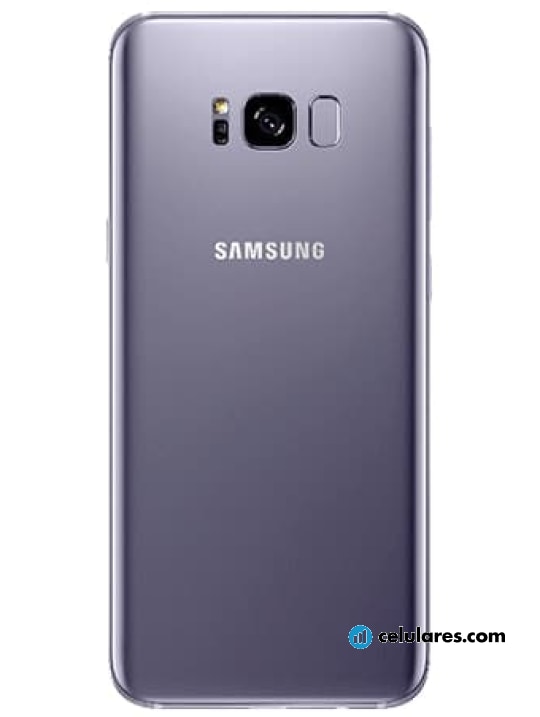 Imagem 7 Samsung Galaxy S8+
