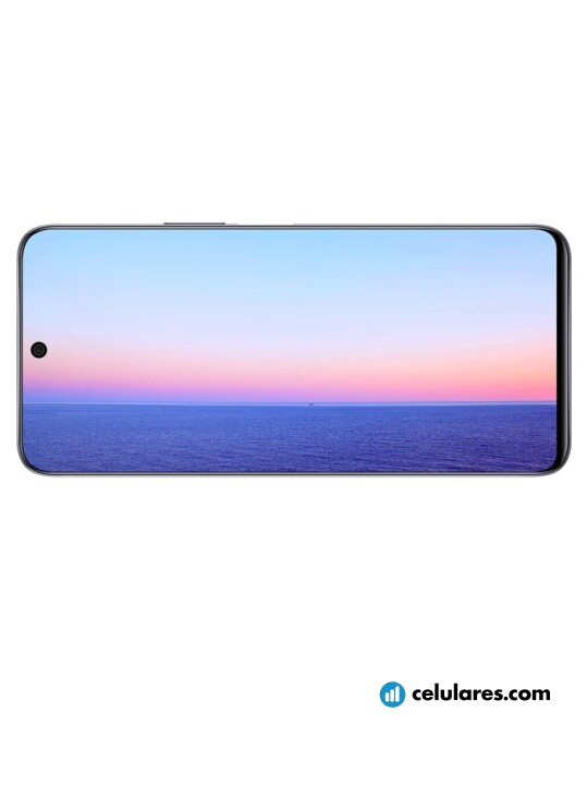 Imagem 4 Honor X20 SE