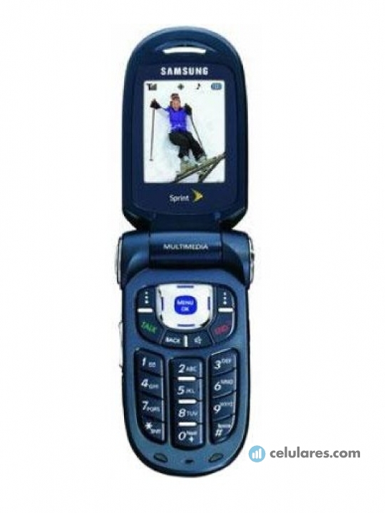 Samsung SPH-A920