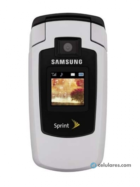 Imagem 2 Samsung SPH-M500